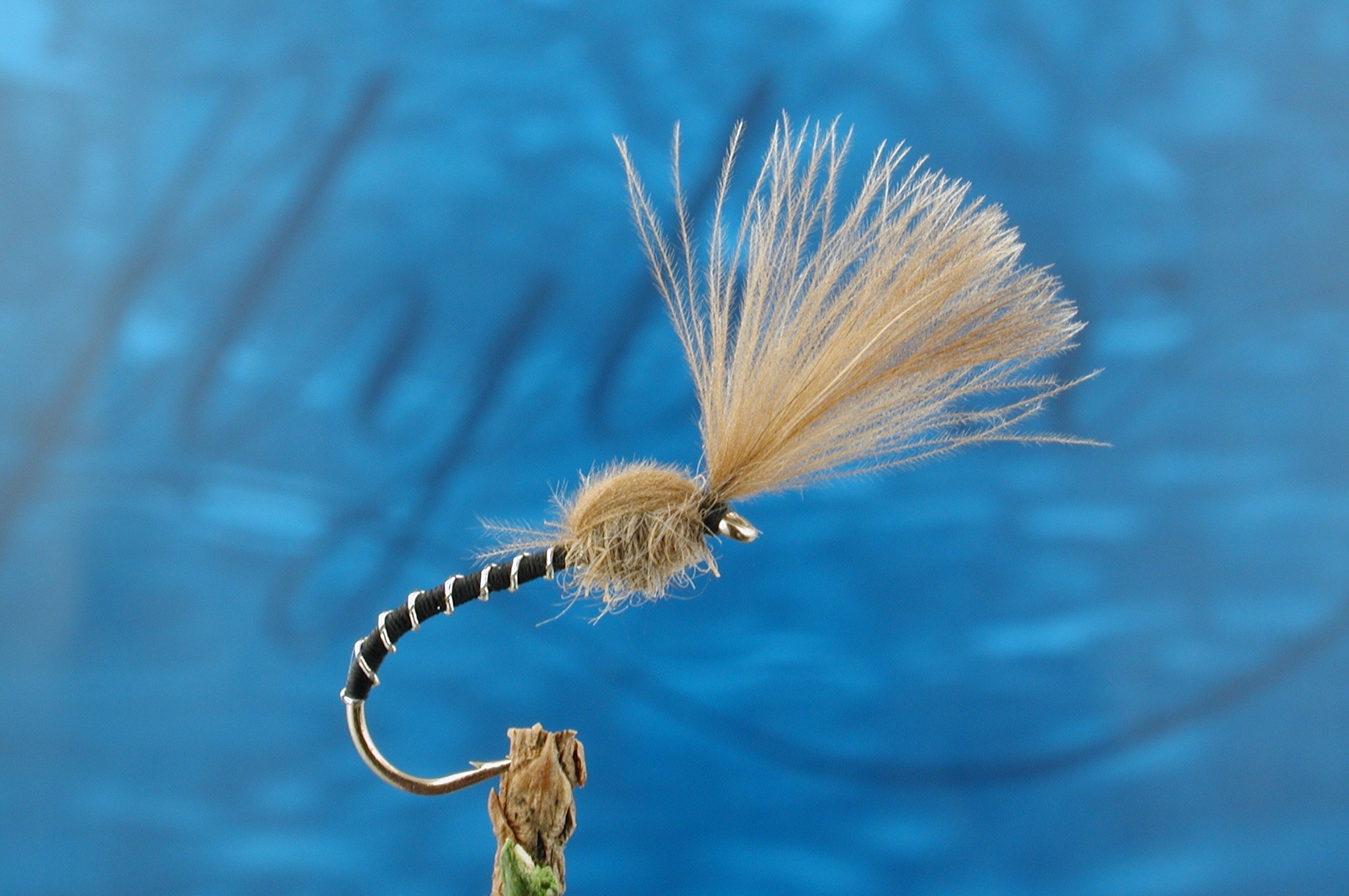 Bithells  Shuttlecock