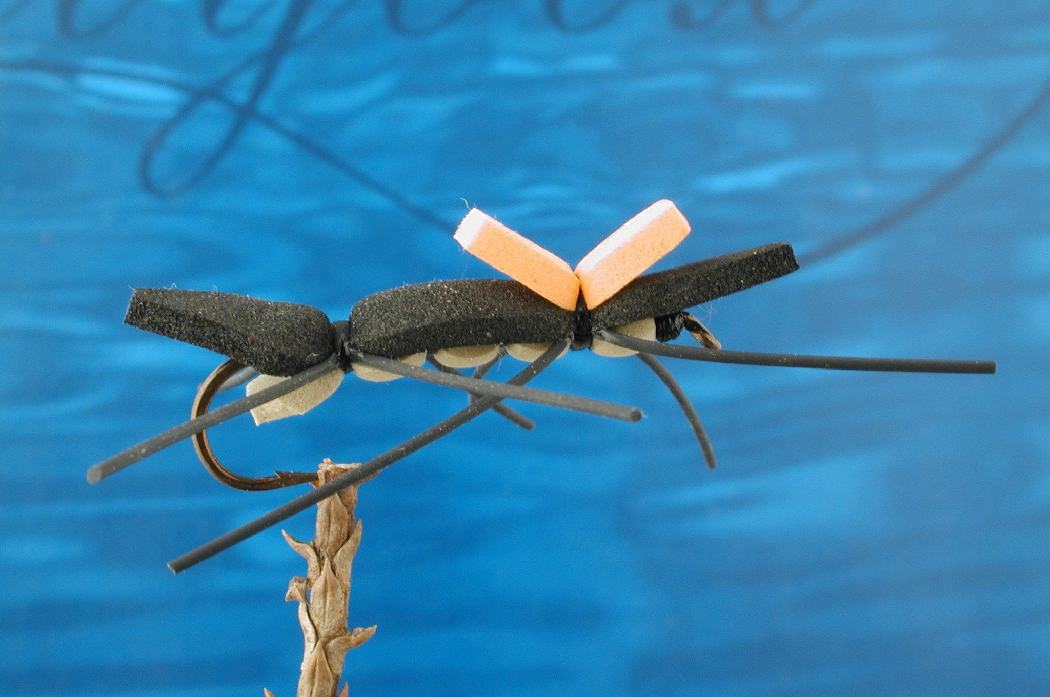 Tan n Black Chernobyl Ant