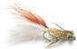 Leaded Eyed Marabuo Damsel Mayfly Nymph