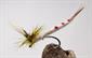 Mayfly Para