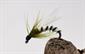 Olive Adult Buzzer