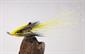 Ally's Shrimp Yellow