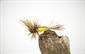 Yellow Humpy